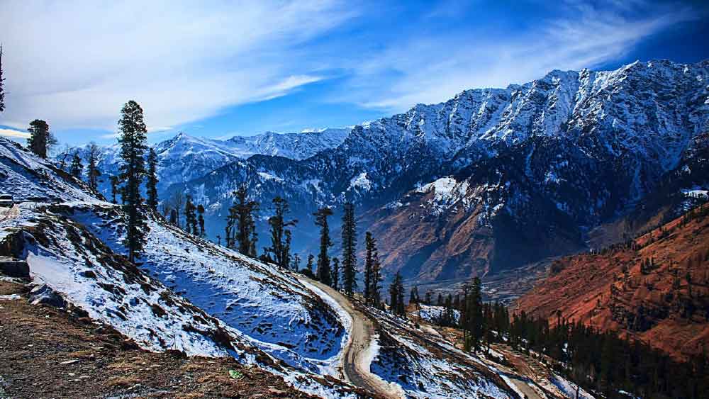 এইচআরটিসি যখন ন্যান্সিদের প্রশিক্ষণ দিতে শুরু করেন, তখন এই শিক্ষানবিশদের দলে ১৭ জন ছিলেন। তবে তাঁদের মধ্যে তিনিই এক মাত্র মহিলা ছিলেন। এইচআরটিসি-র প্রশিক্ষণে, গাড়ি চালানোর পাশাপাশি বাসের যান্ত্রিক দিক সম্পর্কেও জ্ঞান অর্জন করেন ন্যান্সি।