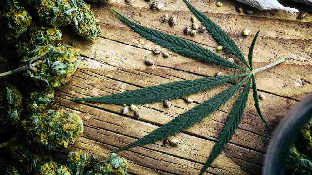 প্রতীকী ছবি 