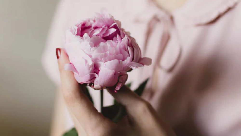 প্রতীকী ছবি।