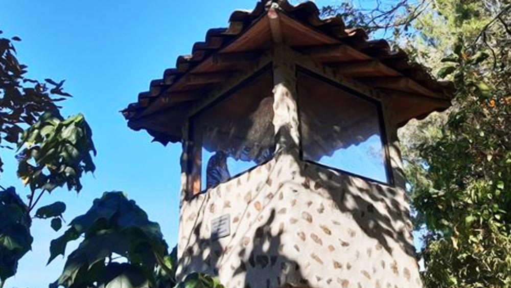 এ ছাড়া তাঁর নৃশংসতার আরও এক নির্দশন হল প্রেসিডেন্ট পদপ্রার্থীকে হত্যার জন্য একটি যাত্রিবাহী বিমানে বিস্ফোরণ ঘটানো। যে বিস্ফোরণে মারা যান বিমানের ১১০ জন যাত্রী। ঘটনাচক্রে, ওই বিমানে প্রেসিডেন্ট পদপ্রার্থী ছিলেন না।