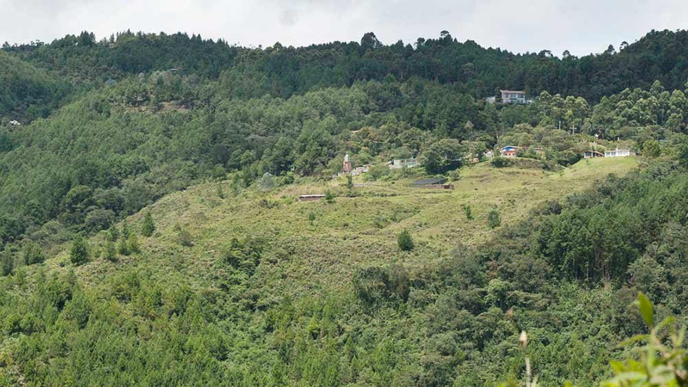 পাঁচ বছরের জন্য তিনি সেই জেলে থাকতে রাজি হন।