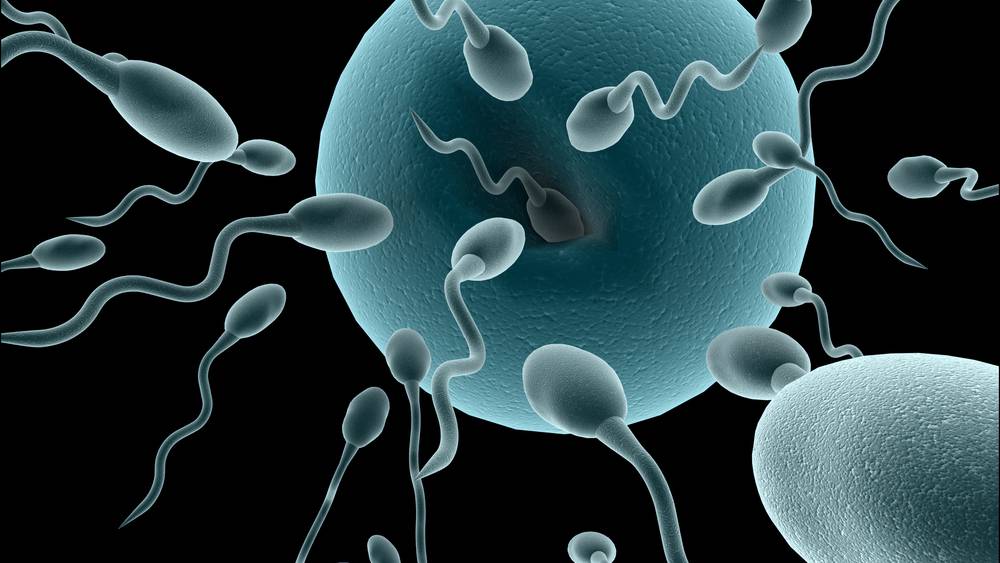 প্রতীকী ছবি