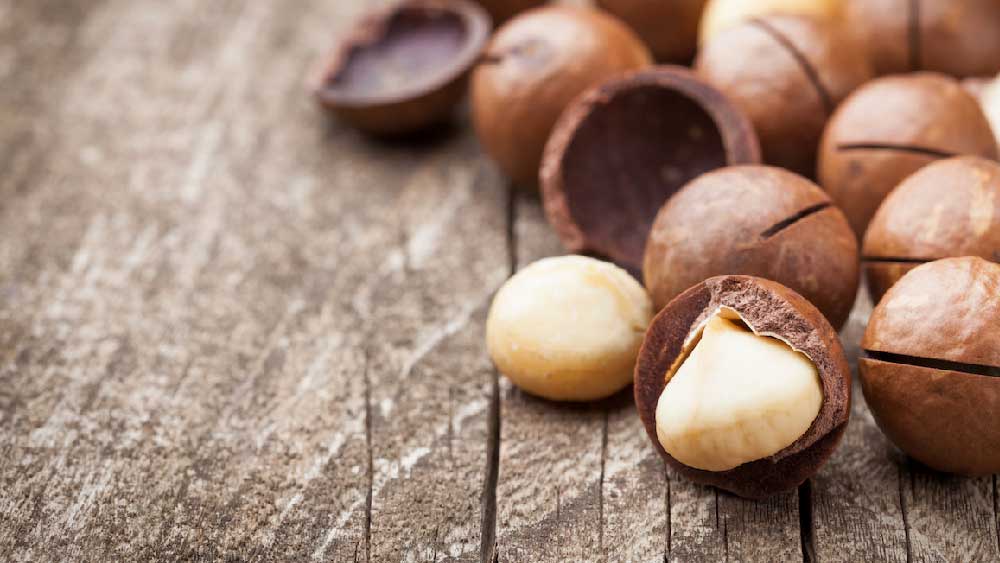 জানেন কি, বিশ্ব জুড়ে যত ধরনের বাদাম পাওয়া যায়, সেই প্রজাতিগুলির মধ্যে ম্যাসেডেমিয়া বাদাম সবচেয়ে মূল্যবান। এমনকি, বিশ্ববাজারে প্রায় ৭০ শতাংশ বাদাম উৎপাদন হয় একটি গাছ থেকেই।