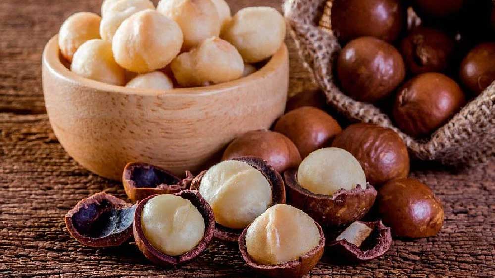 শুনতে অবাক লাগলেও এটাই সত্যি। ২০১৮ সালে ম্যাসেডেমিয়া বাদামের উপর গবেষণা করা হয়। শুধু মাত্র অস্ট্রেলিয়ায় নয়, হাওয়াই-এর বিভিন্ন প্রান্ত থেকেও বাদাম সংগ্রহ করা হয়।