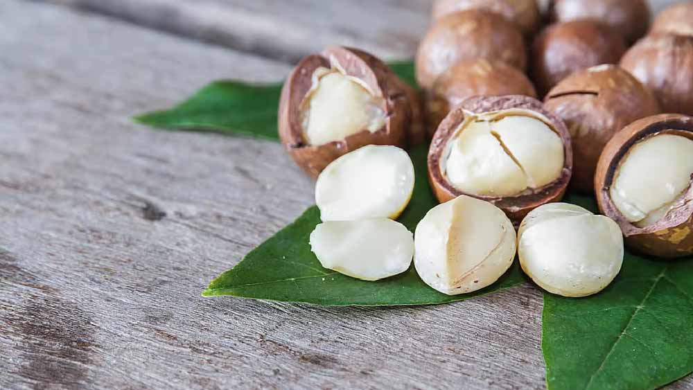 তার ঠিক দু’বছর পর এই বাদামের কেনাবেচা শুরু করেন কিং জ্যাকি। লোগান নদীর তীরে যে সাম্রাজ্য গড়ে উঠেছিল, তার রাজা ছিলেন তিনি।