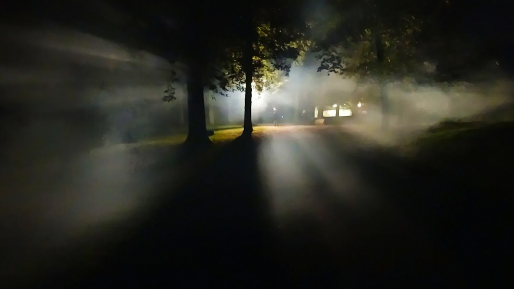 শেষ বাসটি কাছে এসে দাঁড়াতেই বৃদ্ধা এবং যুবকটি তাতে চড়ে বসেন। বাসে উঠে চালকের কাছের আসনে বসেছিলেন বৃদ্ধা। যুবকটি তাঁর পিছনে কিছুটা দূরের আসনে ঠাঁই নেন।