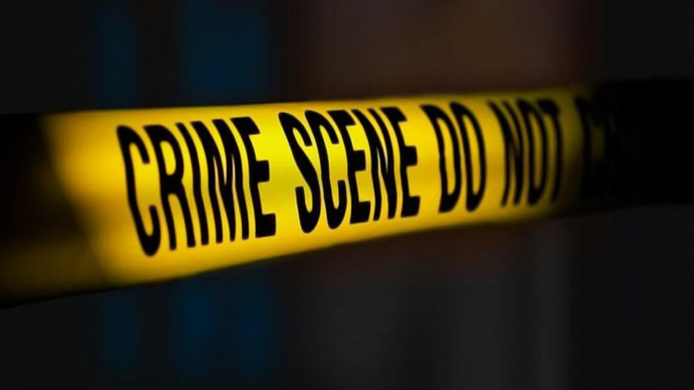 ১৯৯৫ সালের ২ জুলাই। রাজধানীর বুকে এমন একটি খুন হয় যা বহু দিন পর্যন্ত দিল্লিবাসীকে স্তব্ধ করে দিয়েছিল। রাগ ও সন্দেহ যে এমন ভয়ঙ্কর রূপ ধারণ করতে পারে তা কল্পনাতীত।