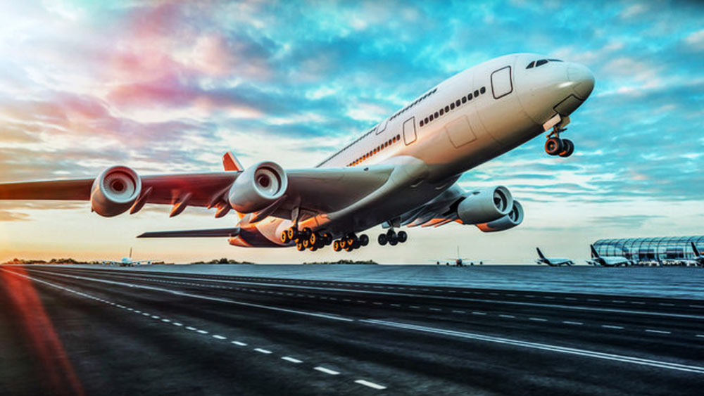 টেক অফের পরই গতি সংক্রান্ত সমস্যা দেখা যায়। আচমকাই বিমানটি থেমে যায়।