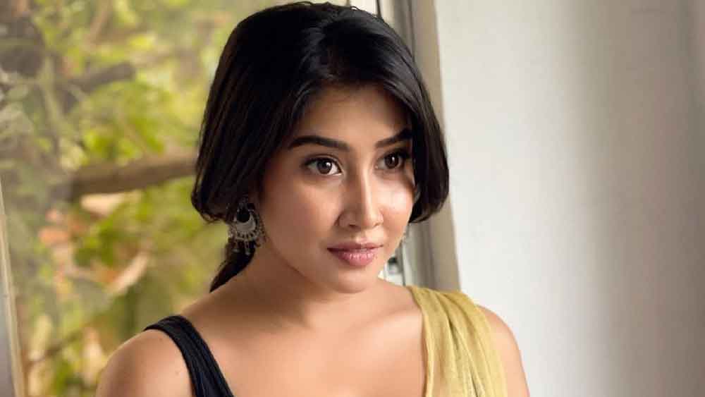 নেটমাধ্যমের তারকা বলতে যাদের নাম প্রথমেই মনে পড়ে তাঁদের মধ্যে অন্যতম সোফিয়া আনসারি।