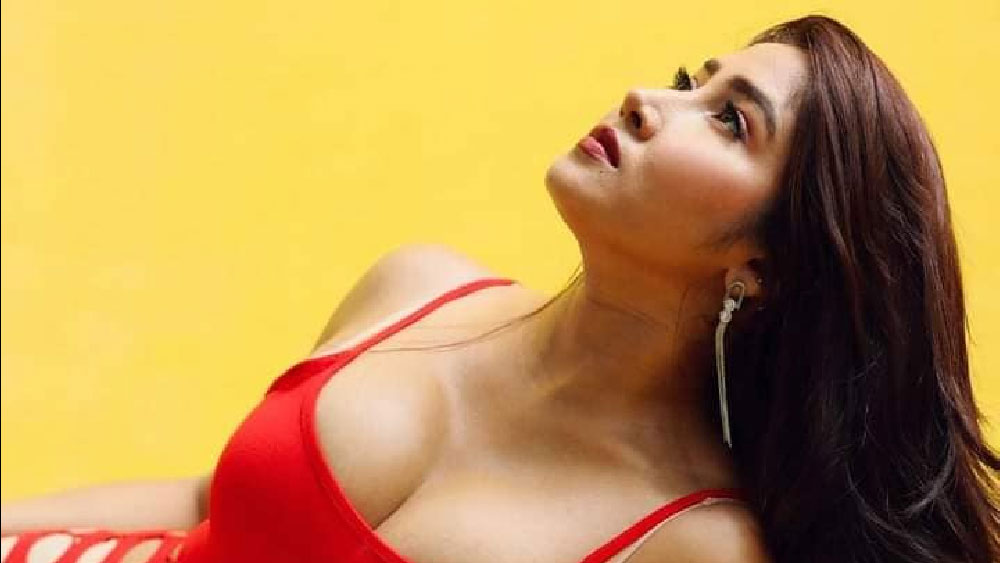 সোফিয়ার মতো নেটমাধ্যমে আরও অনেক মহিলা তারকা রয়েছেন। কিন্তু এত কম সময়ে কী ভাবে সবাইকে ছাপিয়ে এত জনপ্রিয়তা অর্জন করলেন সোফিয়া?