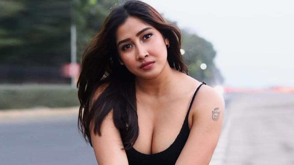 সোফিয়া ১৯৯৬ সালের ৩০ এপ্রিল গুজরাতের বডোদরায় জন্মগ্রহণ করেন। সেখানকারই এক স্থানীয় কলেজ থেকে তিনি স্নাতক হন। বর্তমানে তাঁর ঠিকানা মুম্বই। সোফিয়ার বার্ষিক আয় ৭০ থেকে ৯০ লক্ষ টাকা।