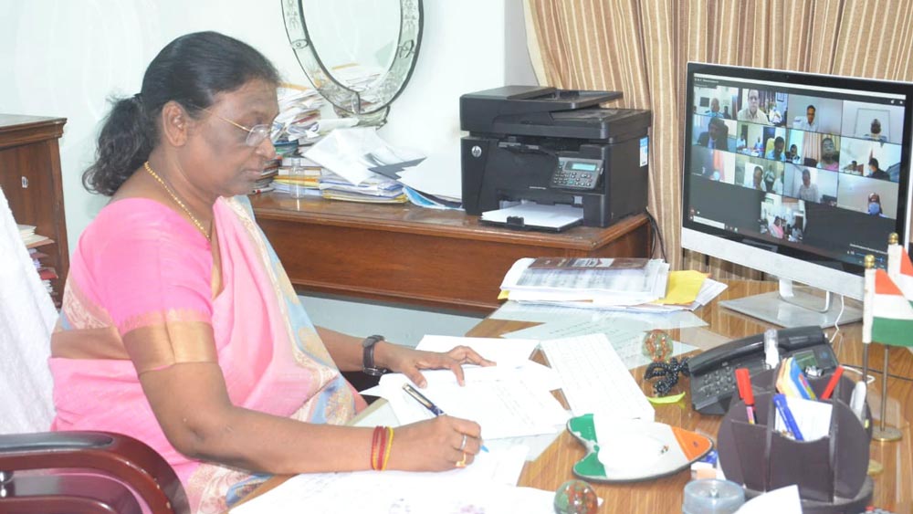 তাঁর রাজনৈতিক পথ ছিল মসৃণ। ২০০০ এবং ২০০৪ সালে বিধানসভা নির্বাচনে জিতে তিনি নবীন পট্টনায়কের নেতৃত্বাধীন বিজেডি-বিজেপি সরকারে মন্ত্রী হন।