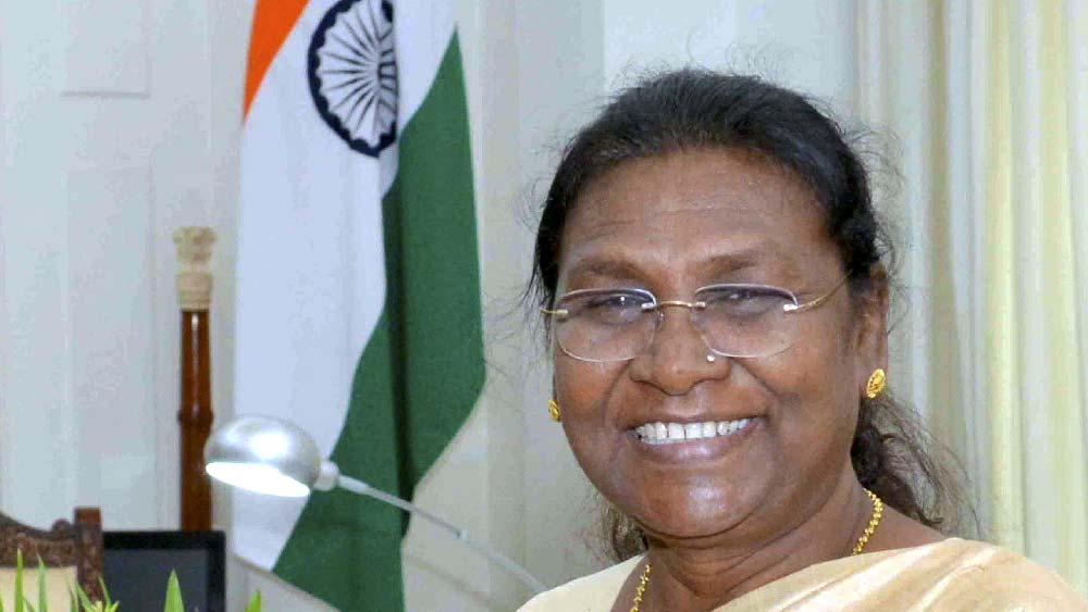 রাজনীতিতে আসার আগে তিনি একটি স্কুলে শিক্ষিকার কাজ করতেন। বিজেপির হয়ে দাঁড়িয়ে ১৯৯৭ সালে ওড়িশার রায়রংপুর নগর পঞ্চায়েতের কাউন্সিলর হন তিনি।