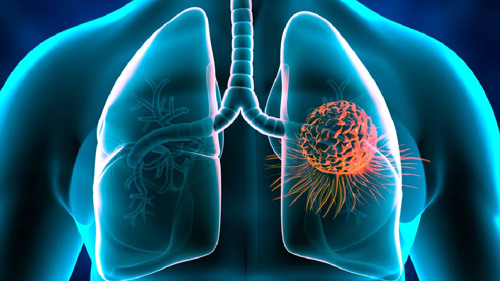 প্রতীকী ছবি।