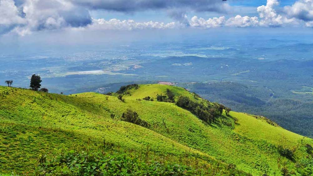 পাহাড়ের ধারে কোনও খাদে ফেলে দিলেও পুলিশের হাতে তিনি ধরা পড়বেনই। তাই দু’দিন ধরে নিজের ঘরের বাথরুমেই ফেলে রাখলেন অনুপমার মৃতদেহ।