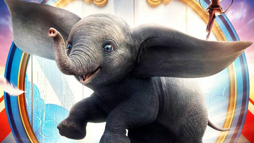 ডিজনির ‘ডাম্বো’ ছবিটি দেখেছেন? বাচ্চা হাতিটির ইয়া বড় বড় কান! কখনও ভেবেছেন, বাস্তবে কোনও চারপেয়ের এত লম্বা কান রয়েছে কি না?