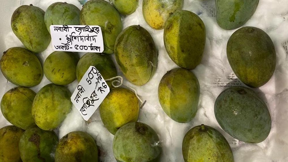 ৫০০ টাকায় পাওয়া যাবে একটি কোহিতুর আম।