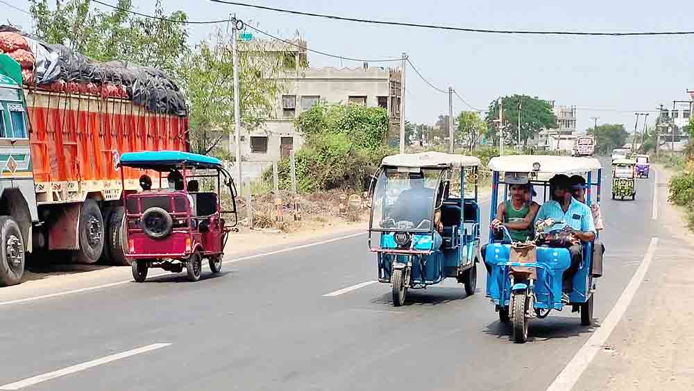 দেশীয় বাজারে নামী ভারতীয় সংস্থা ছাড়াও বেশ কিছু ছোট সংস্থার ই-রিকশা দেখতে পাওয়া যায়।