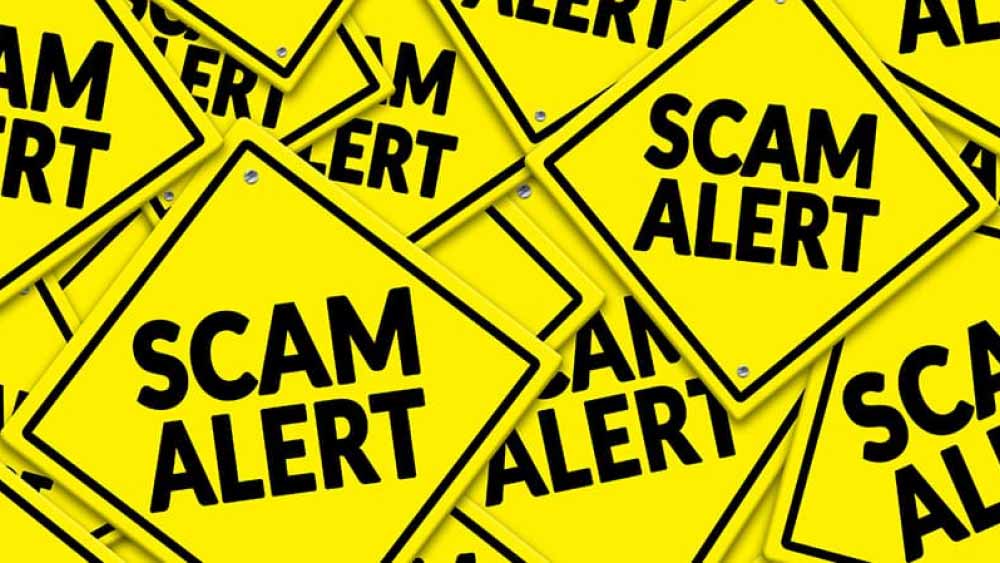 অডিটে এই সংস্থার লেনদেন সংক্রান্ত বিষয়ে লাল সতর্কতাও জারি করে কেপিএমজি। তাদের দাবি ছিল, ডিএইচএফএল-এ বৈধ লেনদেনের আড়ালে এব‌ং সংস্থার নাম করে একাধিক অবৈধ লেনদেনও হয়েছে। আর এর বেশির ভাগ লেনদেনেই কপিল এবং ধীরাজের যুক্ত থাকার বিষয়টি নিয়েও সতর্কতা জারি করে কেপিএমজি।