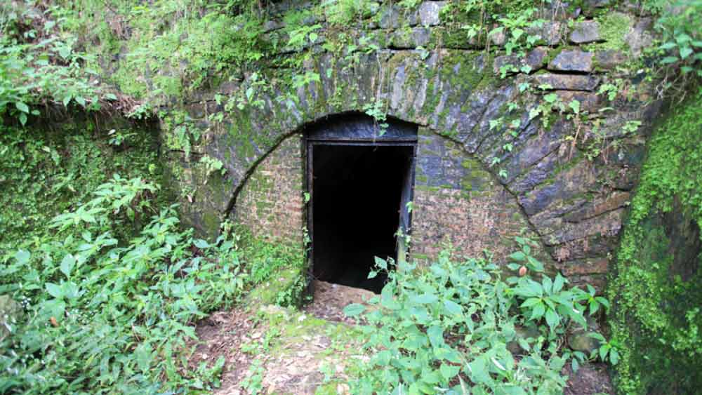 মালিককে রক্তাক্ত অবস্থায় দেখে মানুষের দৃষ্টি আকর্ষণ করতে চিৎকার শুরু করে বারোগের পোষা কুকুর। কিন্তু যখন মানুষ তাঁকে সাহায্যের জন্য এগিয়ে আসেন, ততক্ষণে তিনি মারা গিয়েছেন।