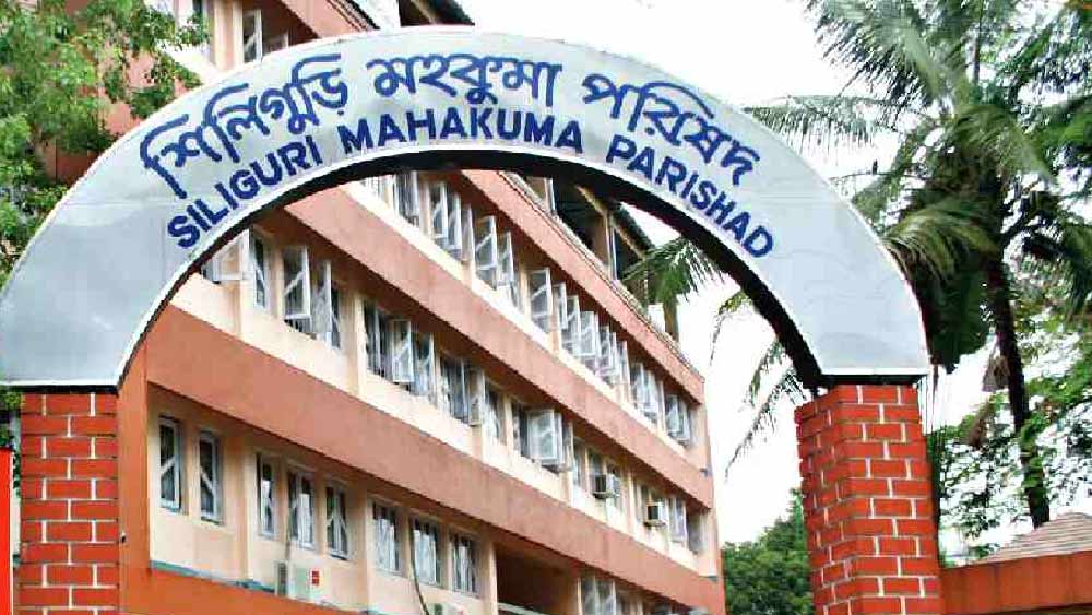 তাঁকে প্রার্থী হিসাবে বেছে নেওয়া প্রসঙ্গে রুমা বলেন, ‘‘দল আমাকে সুযোগ দিয়েছে। আমি খুবই খুশি। মানুষ আমাকে কাজ করার সুযোগ দিলে হতাশ করব না। ২০১৬ থেকে পিছিয়ে পড়া মানুষের জন্য কাজ শুরু করি গ্রামে। বছর চারেক আগে থেকেই পিছিয়ে পড়া মানুষের জন্য কাজ শুরু করেছিলাম নিজের গ্রামে।’’