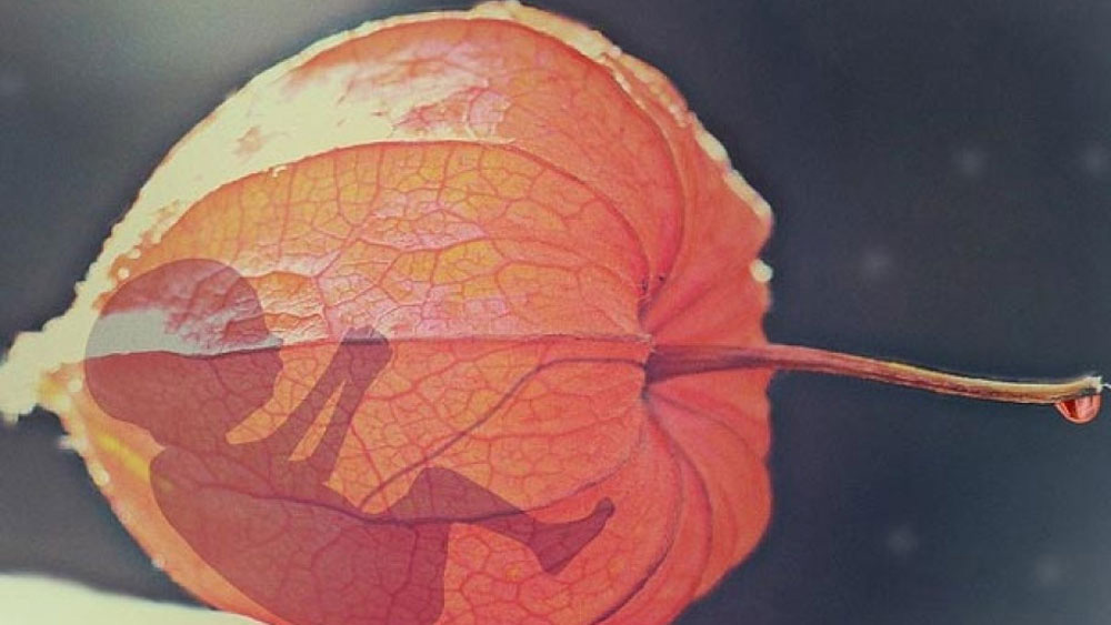 ১৯৭৩ সালে ‘রো বনাম ওয়েড’ মামলায় আদালত গর্ভপাতকে বৈধ বলে ঘোষণা করে। এ বার সুপ্রিম কোর্ট সেই রায়ের উল্টো পথে হেঁটে গর্ভপাতের বৈধতা দেওয়ার বিষয়টি প্রদেশগুলির হাতে ছেড়ে দিয়েছে।