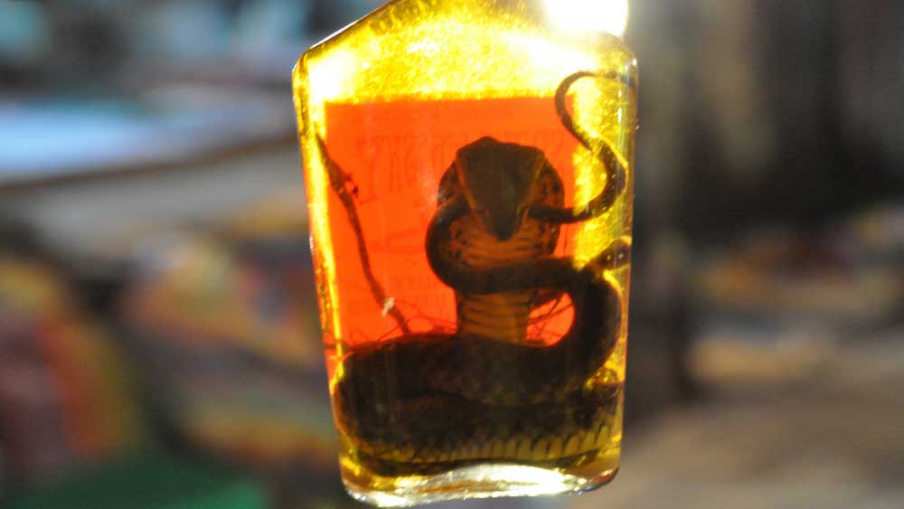  স্ত্রীর পাশাপাশি সাপটিকেও বোতলে বন্দি করে হাসপাতালে ছুটলেন ওই ব্যক্তি। 