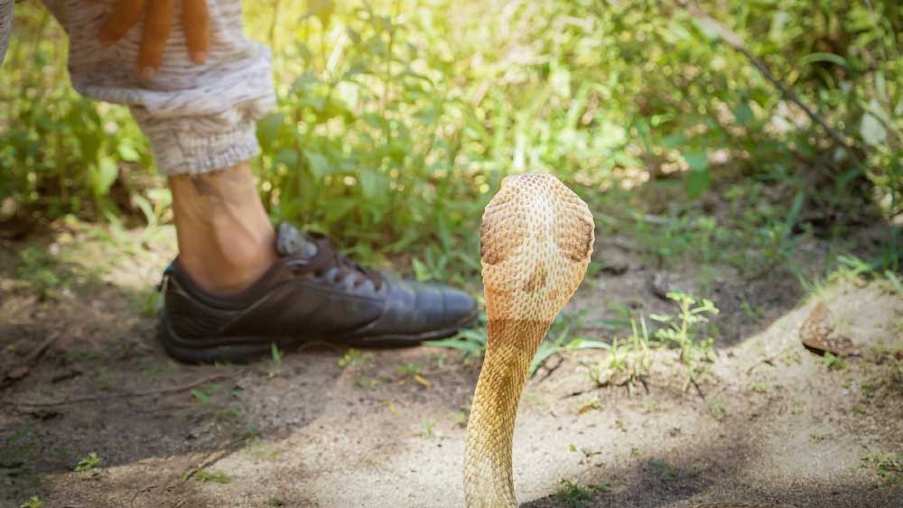 উত্তরপ্রদেশের উন্নাওয়ের আফজল নগর এলাকায় এই ঘটনা ঘটেছে। 
