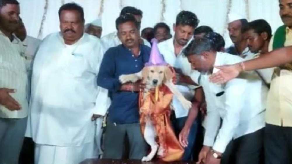 কৃষের জন্মদিন উদ্‌যাপন!