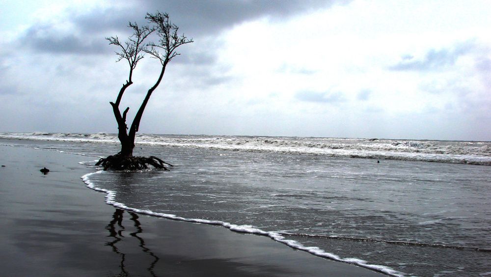 হেনরি আইল্যান্ড