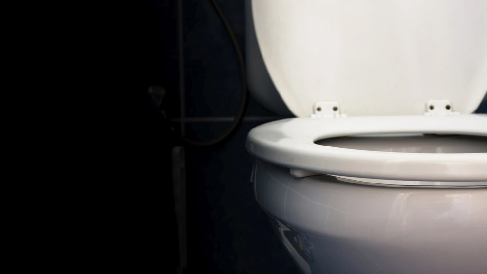 তবে শুটিংয়ের ওই দৃশ্যের একদম শেষে হঠাৎই ওই পর্ন তারকা সঙ্গম দৃশ্যকে বেশি উদ্দীপক দেখাতে টয়লেট সিটটি জিভ দিয়ে চেটে দেন। এই দৃশ্য দেখে উপস্থিত সকলেই উচ্ছ্বাস প্রকাশ করেন। তবে এই দৃশ্য দেখে ইভানের গা ঘিনঘিন করে ওঠে।