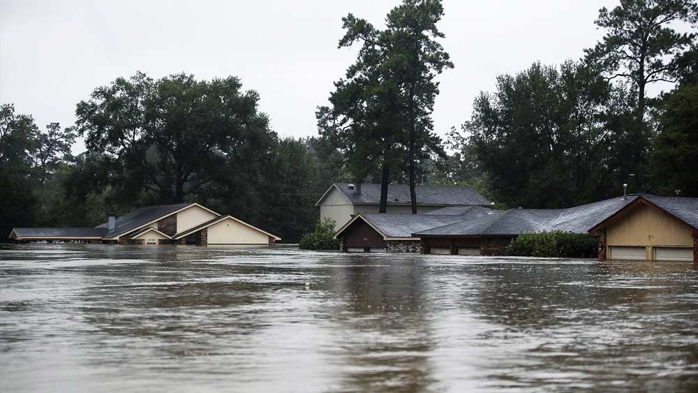 বন্যার সময় জল জমতে শুরু করলে এই বাড়ির ভিতরে জল ঢুকতে পারবে না। বরং, জলের উপরেই বাড়িসুদ্ধ ভেসে উঠবে।