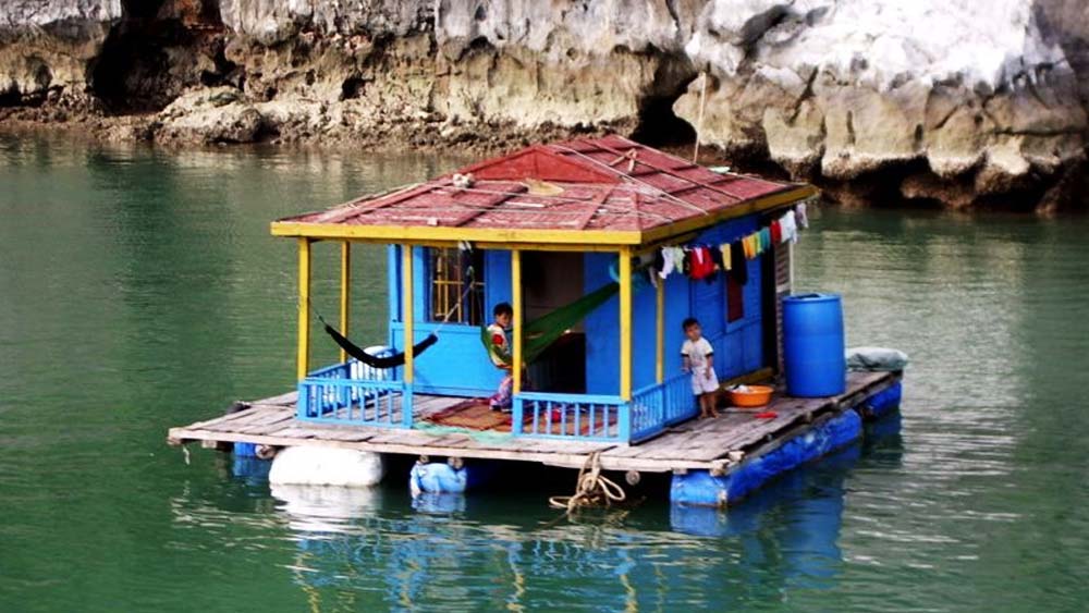 খবরটি প্রকাশ্যে আসার পর সকলের কৌতূহল বেড়ে যায়। অনেকে গুজব ভাবলেও এক আমেরিকান টেলিভিশন চ্যানেল থেকে সংস্থার কর্মীদের সাক্ষাৎকার নেওয়া হয়।