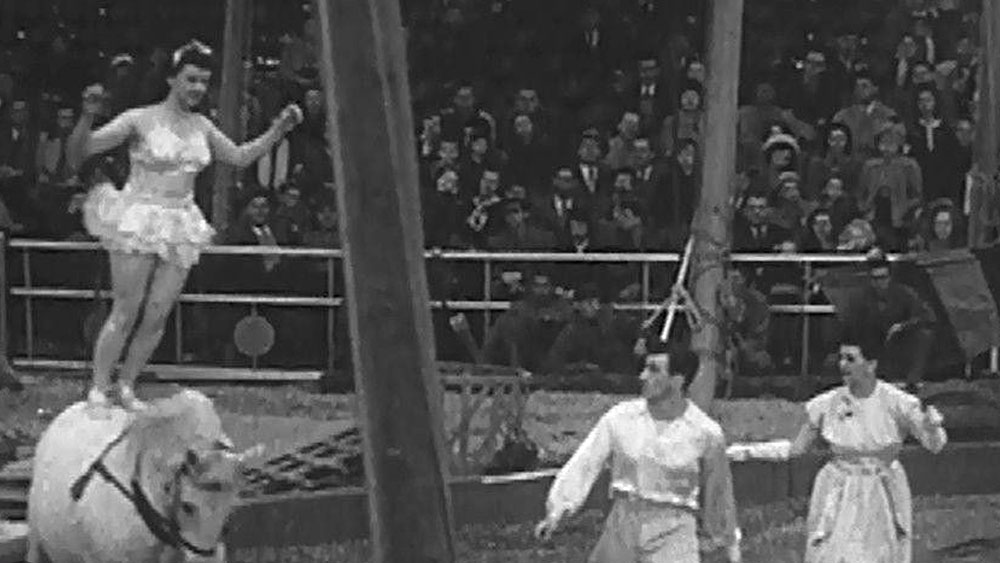 জাহাজে করে আমেরিকার মাটিতে পা রাখামাত্রই মেরি অ্যানকে নিয়ে হইচই শুরু হয়েছিল। নিউ ইয়র্কের বহু সংবাদপত্রে ‘দুনিয়ার কুৎসিততম মহিলা’ শিরোনামে তাঁকে নিয়ে রিপোর্ট প্রকাশিত হয়।