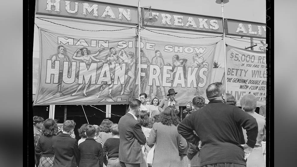 সার্কাসে লোক হাসাতে নিজের চেহারাকে অস্ত্রের মতো ব্যবহার করেছিলেন মেরি অ্যান। সাকার্সে তাঁকে দেখতে ভিড় বাড়তে থাকে। দর্শকেরা তাঁকে দেখে হেসে লুটিয়ে পড়েছেন। তবে মেরি অ্যানের মানসিক যন্ত্রণার হদিশ পাননি তাঁরা। সংসার চালাতে দিনের পর দিন সে যন্ত্রণা সামলেছেন মেরি অ্যান।