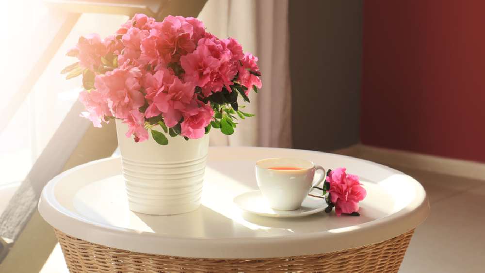 প্রতীকী ছবি