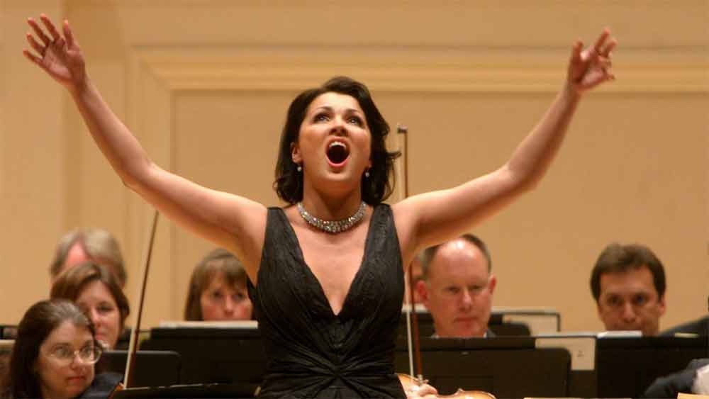 ২০১৪ সালে ডনেৎস্কের একটি অপেরা হাউসে আর্থিক সাহায্য করার অনুষ্ঠানে দেখা গিয়েছিল, ওই শহরের নিয়ন্ত্রক রাশিয়াপন্থী বিচ্ছিন্নতাবাদীদের পতাকা তুলে ধরেছেন আনা। 