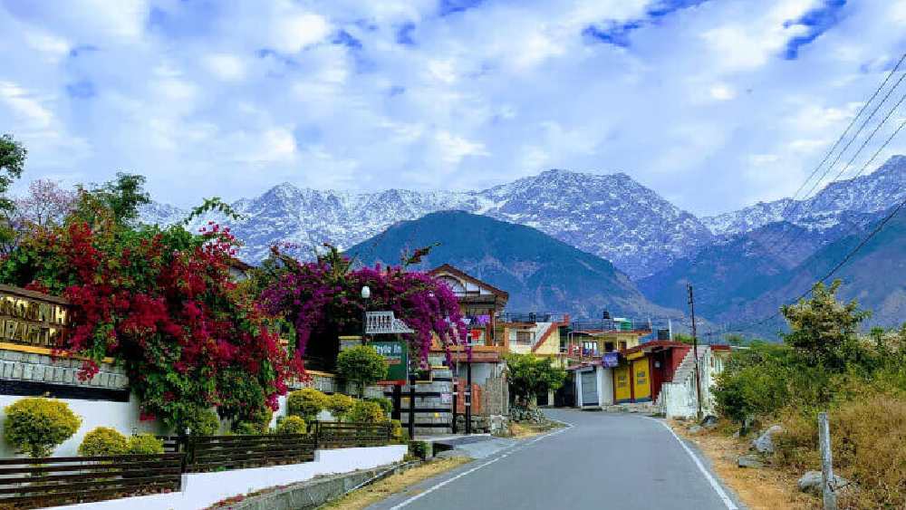ধর্মশালা: তিব্বতি ও ভারতীয় সংস্কৃতির অদ্ভুত মেলবন্ধন দেখা যায় ছোট্ট পাহাড়ি শহর ধর্মশালাতে। ছবির মতো সুন্দর এই শহরের যে কোনও প্রান্ত থেকেই স্পষ্ট নজরে আসবে বরফে মোড়া ধৌলাধর পর্বত। এখানেই রয়েছে বিখ্যাত নামগাল মঠ যেখানে দলাই লামা বাস করেন।