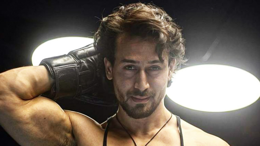 বলিউড তথা আন্তর্জাতিক পত্রিকার পরিসংখ্যান বলছে, এই মূহূর্তে টাইগারের বাজারদর আকাশছোঁয়া। তাঁর আয়ের অঙ্ক পৌঁছেছে এক কোটি দশ লক্ষ ডলার, অর্থাৎ প্রায় ৭৮ কোটি টাকায়। ছবি এবং বিজ্ঞাপন মিলিয়েই এই বিপুল উপার্জন। 