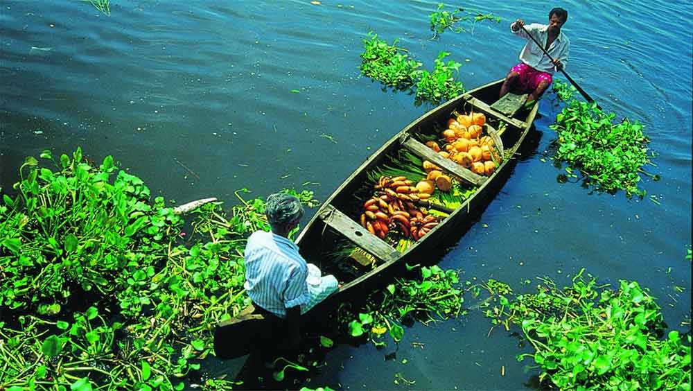 জোসেফের কথায়, ‘‘প্রতিটি লাক্সারি বাসের জন্য প্রায় ৪০ হাজার টাকা করে কর দিতে হয়। তার উপর রয়েছে জ্বালানির খরচ। সঙ্গে ৮০ হাজার টাকা করে বিমার প্রিমিয়াম। তবে কোভিডবিধি অমান্য করার অভিযোগ করে ট্রিপের মাঝে বহু বার বাস বসিয়ে দিতেন পুলিশ বা মোটর ভেহিক্যাল্‌স ডিপার্টমেন্টের আধিকারিকেরা।’’