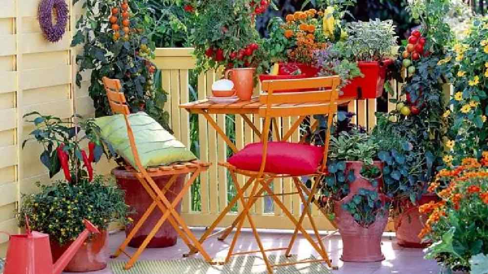 প্রতীকী ছবি।