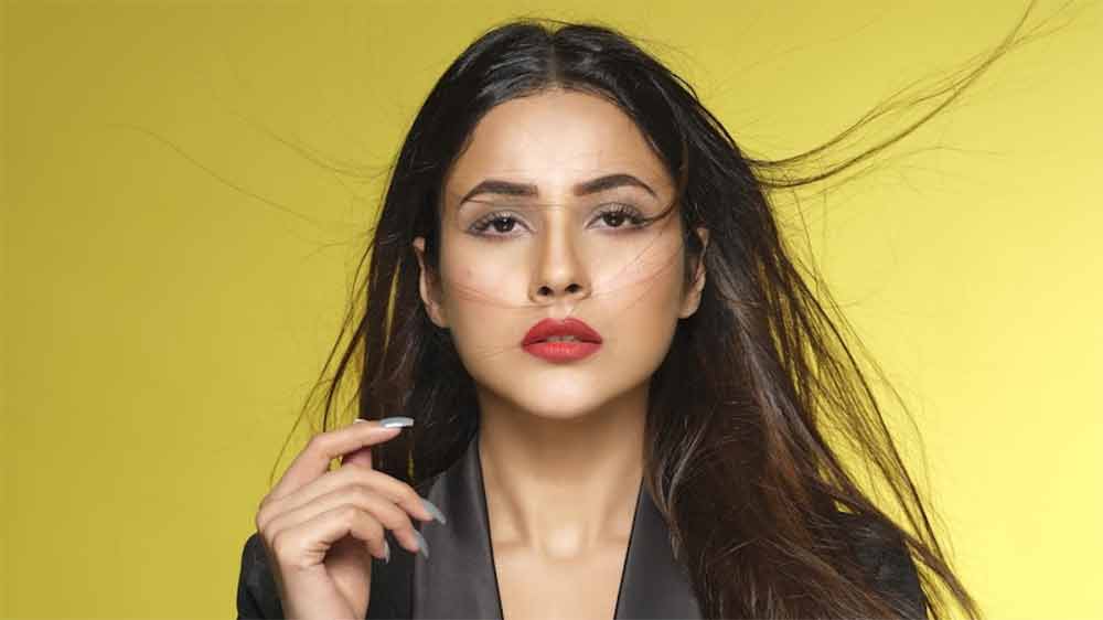 নাগিনের মুখ্য ভূমিকায় শেহনাজ কউর গিলকেই ভেবেছিলেন সিরিজের নির্মাতা একতা। তবে এই সুপারন্যাচারাল সিরিজে মুখ দেখাতে চাননি শেহনাজ। এর পিছনে কী কারণ রয়েছে? খোদ শেহনাজ জানিয়েছেন, ‘ব্রেক’ নিতে চান। পরিবারের সঙ্গে সময় কাটানোর জন্যই একতার প্রস্তাব ফিরিয়ে দিয়েছেন। 