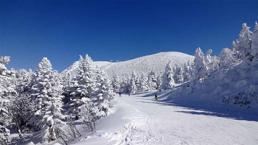 এত হইচইয়ের মাঝে নানা মুনি নানা তত্ত্ব খাড়া করার চেষ্টা করছেন। কারও দাবি, ষড়যন্ত্র করে ‘কিলিং স্টোন’ ভাঙা হয়েছে। অনেকে আবার বলেছেন, অতিরিক্ত ঠান্ডায় পাথরে ফাটল ধরেছে।