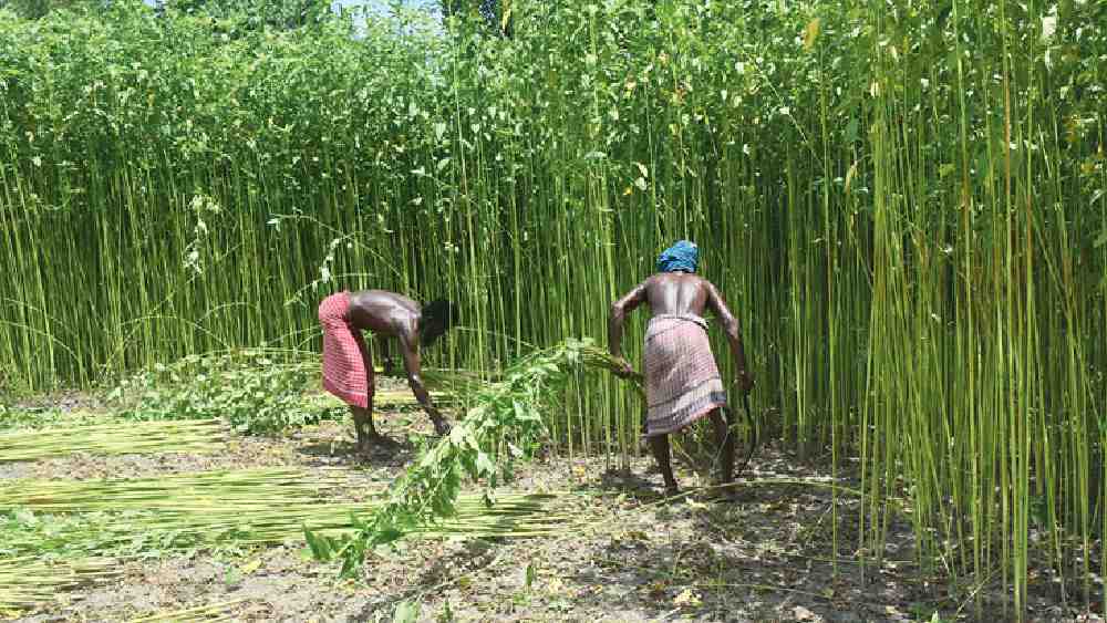 প্রতীকী ছবি।