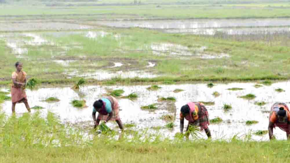 farmers  are in distress in Hooghly