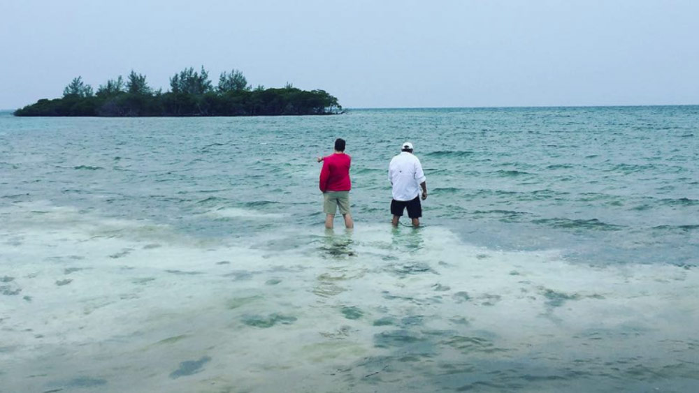 গ্যারেথ এবং মার্শালই আপাতত ওই দ্বীপের রাজা। আবার তাঁরাই প্রজাও। কারণ কফি কায়ে একটি জনবসতিহীন দ্বীপ। তবে মানুষ না থাকলেও এই দ্বীপের নিজস্ব সরকার আছে। আছে জাতীয় পতাকা এমনকি, প্রতীকও।