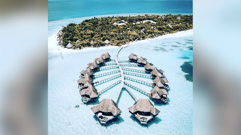 গ্যারেথ ও মার্শাল জানিয়েছেন আগামী দিনে এই অভাবপূরণেরই পরিকল্পনা রয়েছে তাঁদের। দু’জনই চান, কফি কায়েকে তাঁদের নিজস্ব দেশ হিসেবে গড়ে তুলতে।