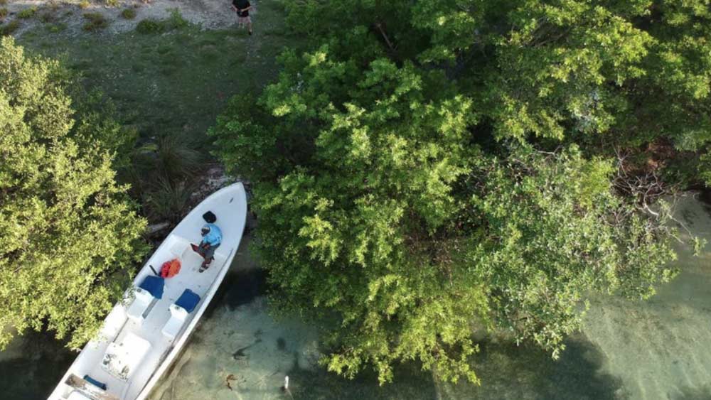 ভ্রমণের দায়িত্বে থাকছেন মার্শাল নিজেই। তবে তিনি জানিয়েছেন, দ্বীপটি এতই ছোট যে তার একপ্রান্ত থেকে আর এক প্রান্তে পৌঁছে যাওয়া যায় কয়েক মিনিটেই। ফলে ভ্রমণে বিশেষ সময় লাগার কথা নয়। 