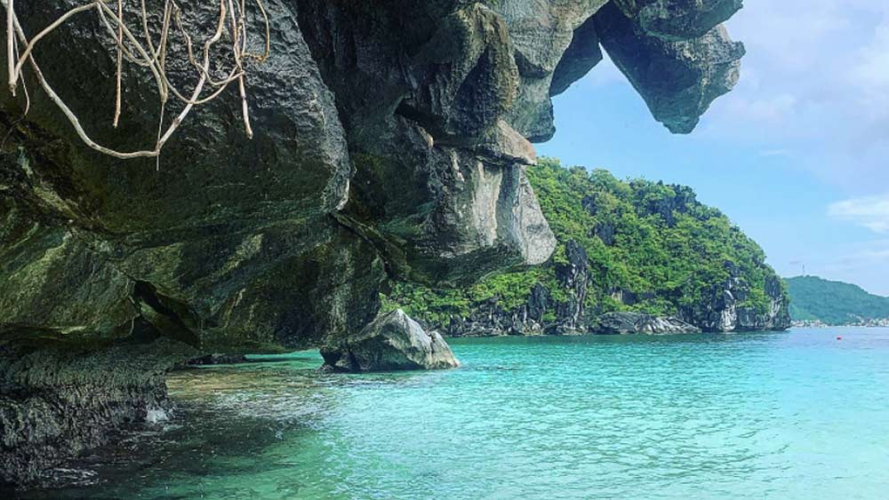 চাঁদা তুলে একটা গোটা দ্বীপ কিনে ফেললেন দু’জন।