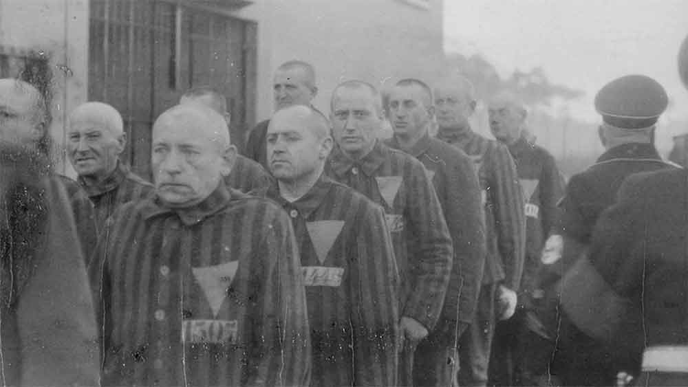 জোসেফের দাবি, ফ্লোসেনবার্গের শিবিরে থাকাকালীন তিনি দেখেছিলেন কী ভাবে বন্দিদের উপর কাতুকুতুর অত্যাচার চালাতেন রক্ষীরা। ১৯৭২ সালে প্রকাশিত বই ‘দ্য মেন উইথ দ্য পিঙ্ক ট্রায়াঙ্গল’-এ জোসেফের কাহিনি তুলে ধরেছিলেন হান্স নিউম্যান। হাইঞ্জ হেগার নামে ছদ্মনামে লেখা ওই বইয়েও জোসেফের উপর অত্যাচারের বর্ণনাও ধরা পড়েছে।